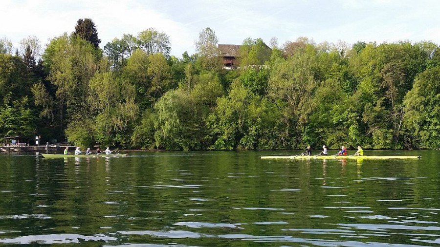 zuerichsee2